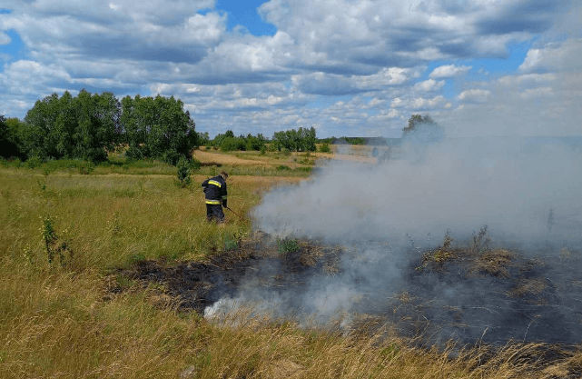 Біля Львова спалахнула масштабна пожежа на торфовищі
