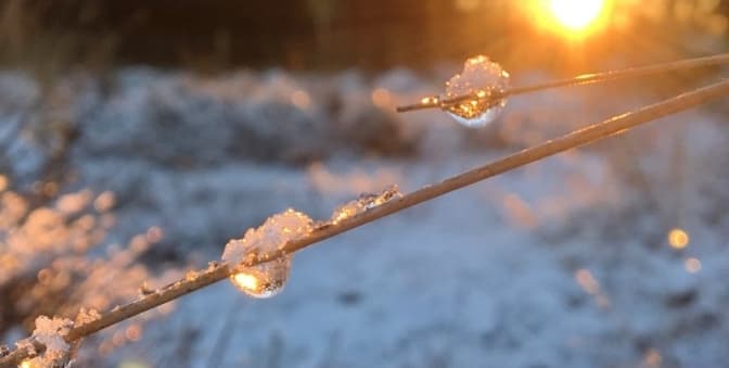 Підвищення температури та дощ. Прогноз погоди у Львові на початок тижня