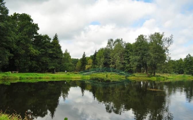 День Шкла і фура вареників. Як активісти змінюють селище на Львівщині