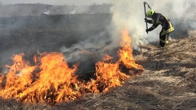 Спалювати суху траву у Львівській громаді заборонено. Які штрафи чекають порушників
