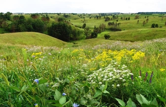На Київщині урочищу «Казковий яр», який ще звуть «Українською Ісландією» надали статус заказника