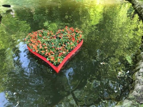 фото: Стрийський парк/Facebook