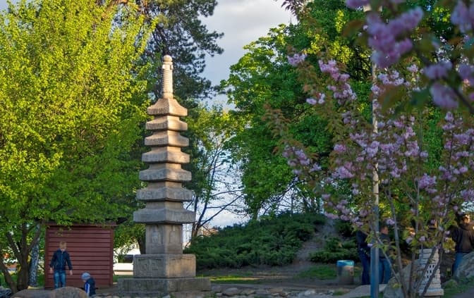 Фото: з відкритих джерел