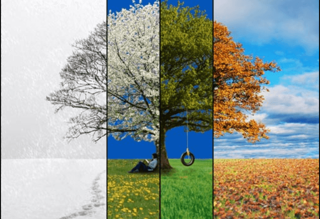 Фото: sites.google.com