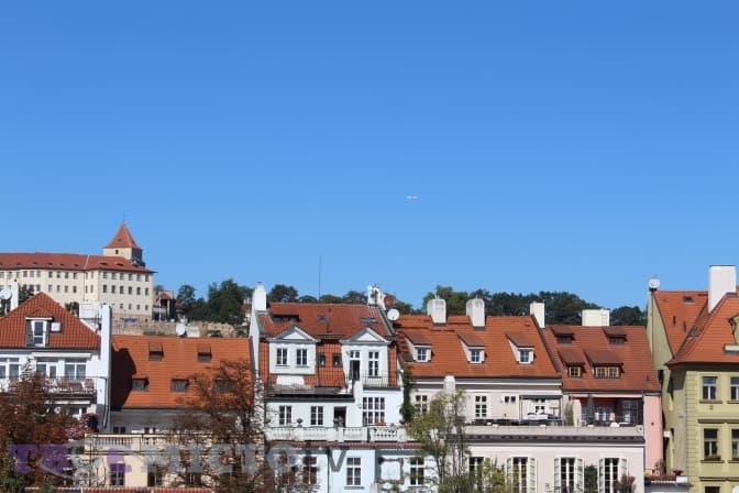 Фото: Вікторія Ейсмунт