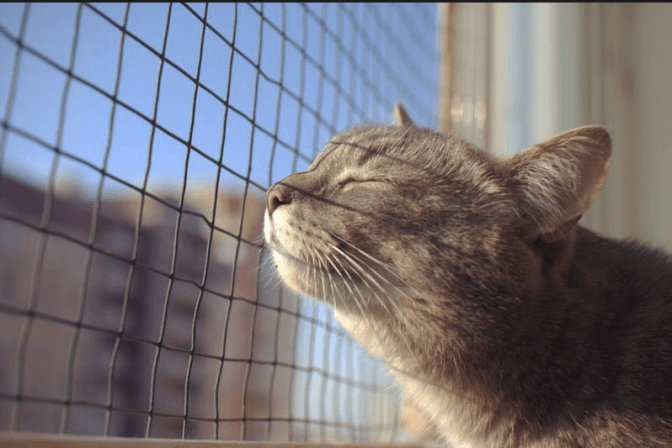 Ілюстративне фото