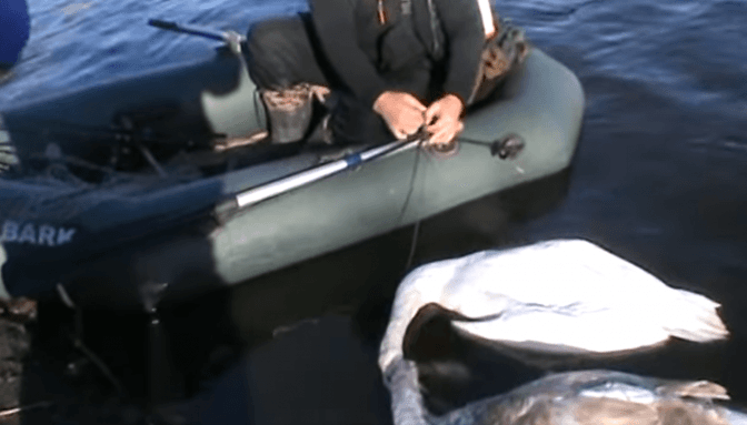 скриншот з відео володимира ткачика