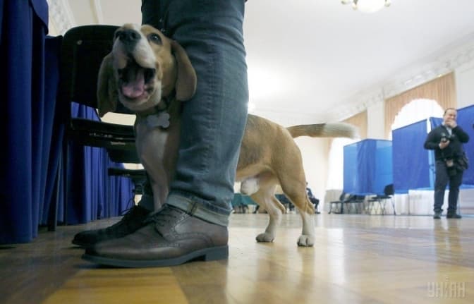 То хто там йде? 5 несподіваних відповідей про вашого кандидата. Онлайн-тест