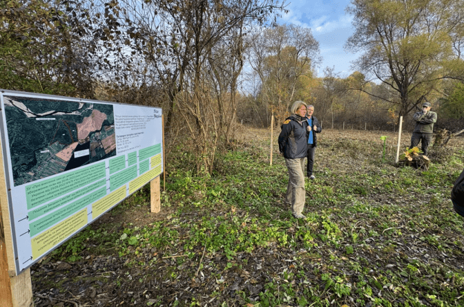 На Львівщині працюють над масштабним залісенням земель
