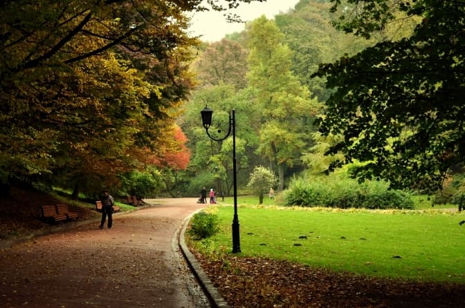 Біля лікарень на Орлика облаштують парк із реабілітаційною зоною