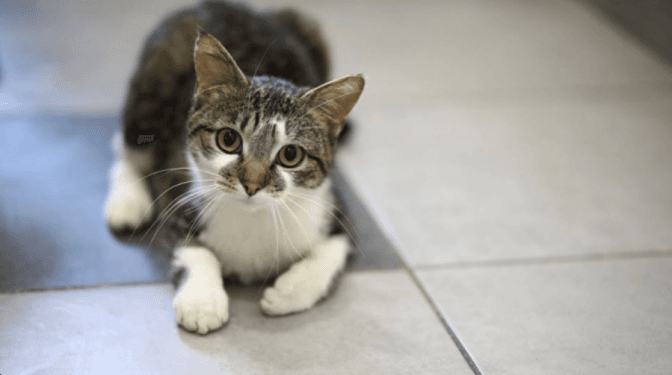 ФОТО: MARTA SYRKO