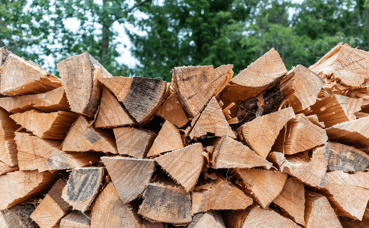 Де і як купити дрова жителям Львівщини. Алгоритм
