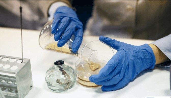 У Львові запрацювала унікальна шкільна біотехнологічна лабораторія