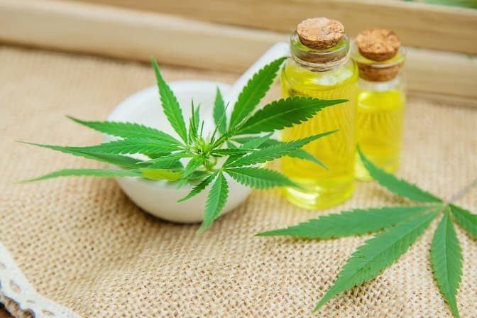 В Україні створили електронну платформу для обліку медичного канабісу