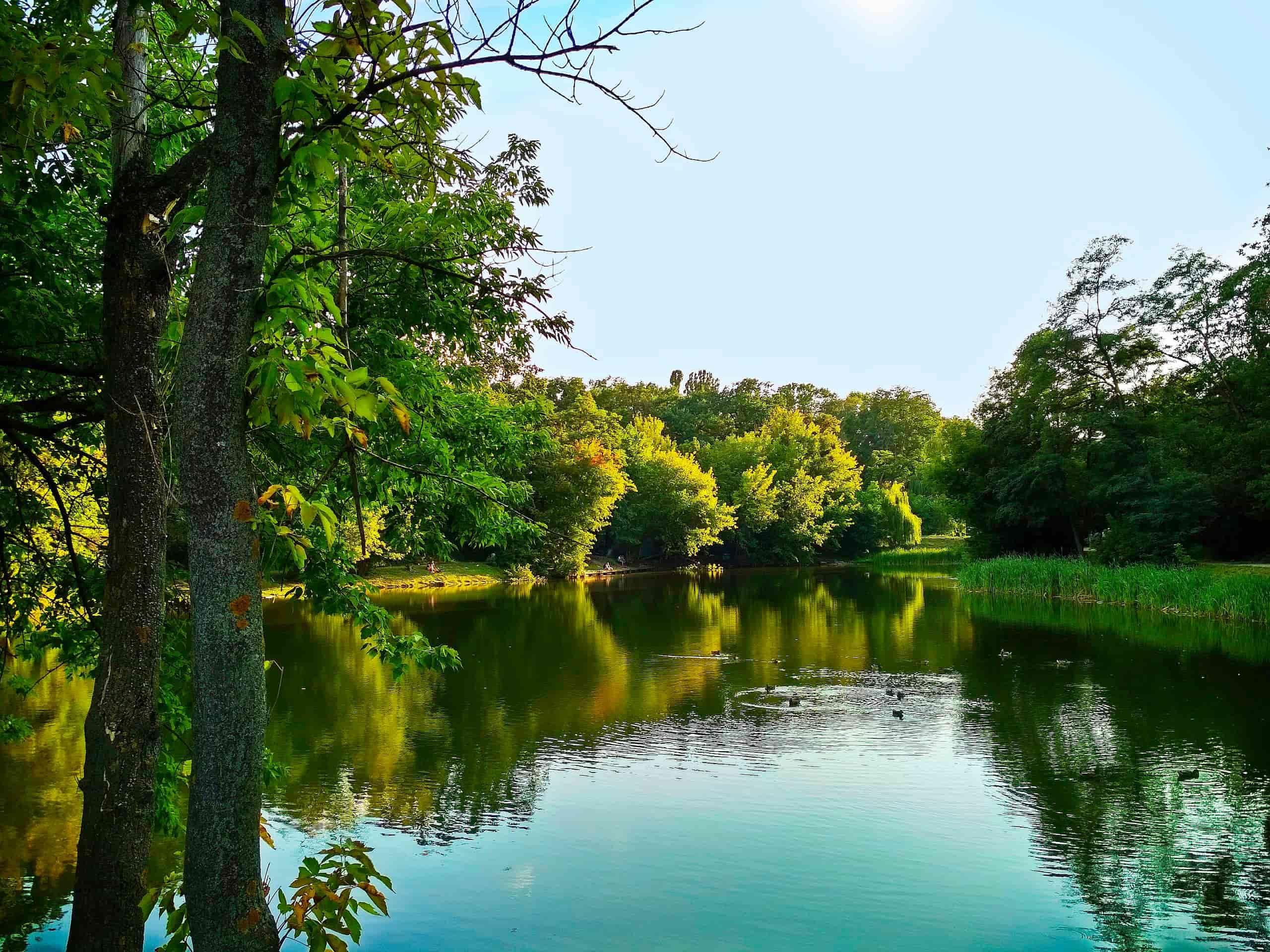 Парк "Нивки". Фото: відкриті джерела