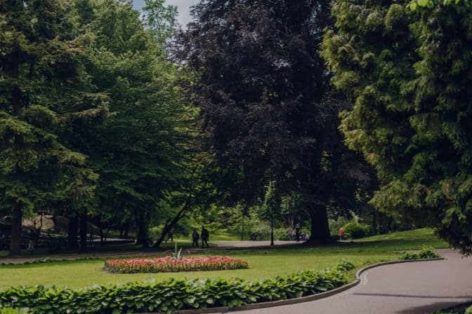 У Львові цьогоріч хочуть озеленити центр міста. Що саме планують