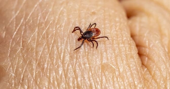 фото умовне