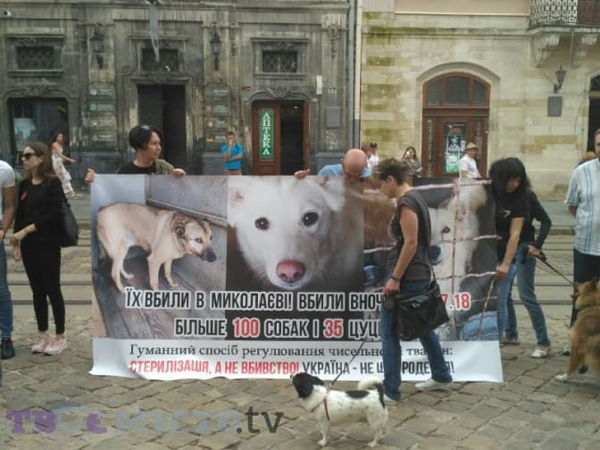 Львів долучився до Всеукраїнської акції проти насильства над тваринами. Фото