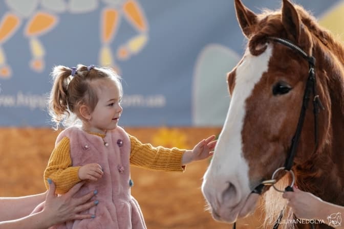 У Брюховичах облаштують дитячий реабілітаційний центр, де застосовуватимуть кінну терапію