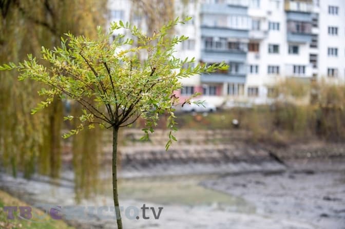 Коли парки і озера Львова доведуть до ладу та wi-fi від Starlink в Інтерсіті. Підсумки доби