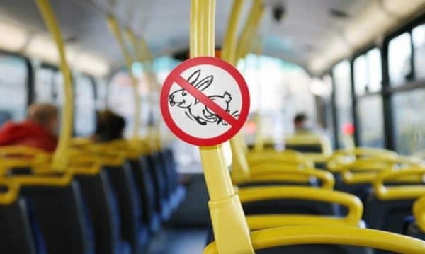 Львівське комунальне АТП-1 відмовилося від ідеї контролерів-касирів у автобусах