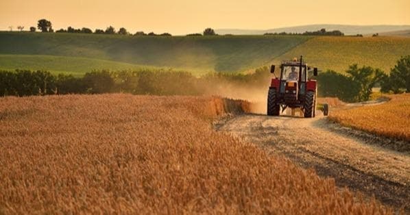 На Львівщині виставили на продаж дві земельні ділянки