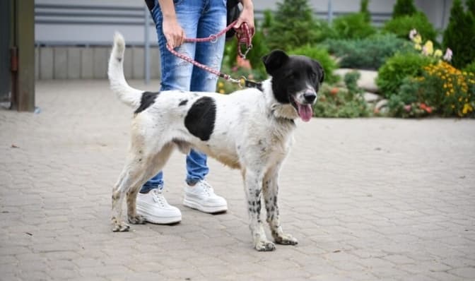 Фото: Анастасія Смольєнко