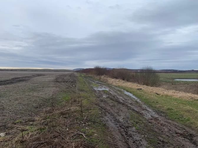 Фото: Прозорро.Продажі