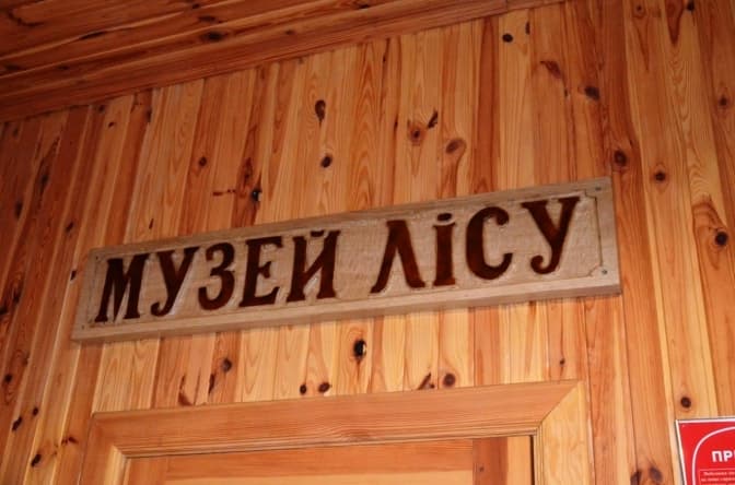 У найстарішому лісництві Києва облаштовують Музей лісу