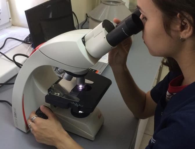 фото: ЛКП "Лев"/Facebook