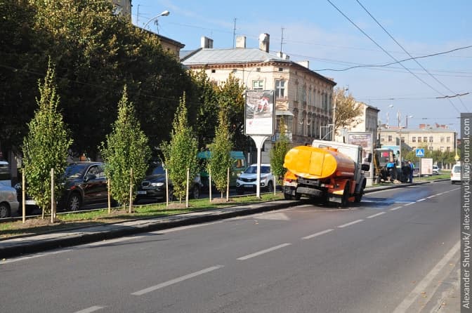 У Львові озеленили проспект Чорновола. Фото