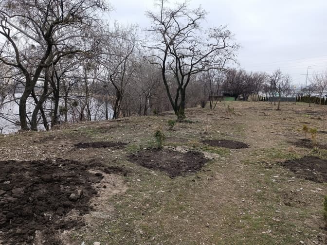 На Оболоні прибрали стихійне кладовище тварин