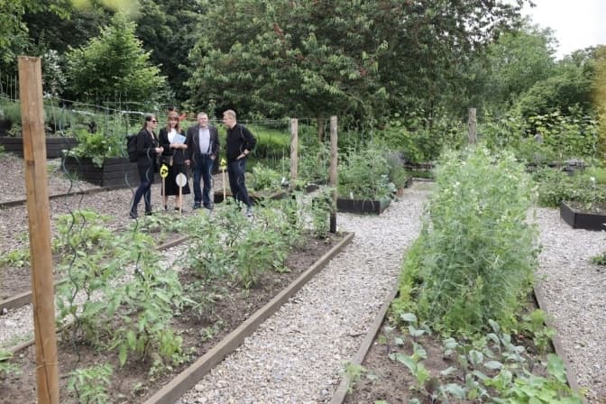 У Львові хочуть облаштувати сад як у Чехії