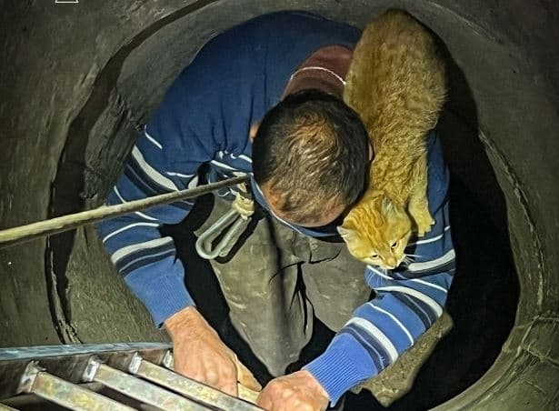 На Львівщині чоловік спустився в криницю за котом і застряг на глибині майже 10 метрів