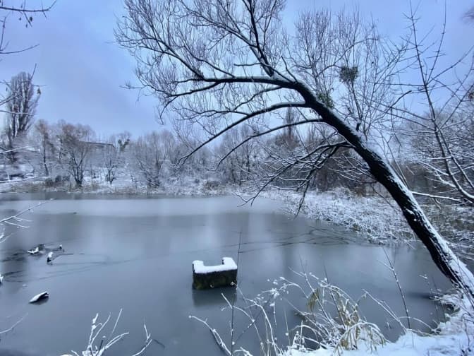 В екопарку біля Совських ставків почали наводити лад