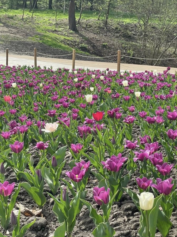Фото: управління екології Львова