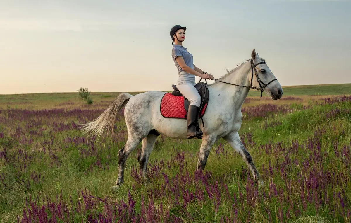 Де покататися верхи у Львові й неподалік. Локації, ціни та особливості