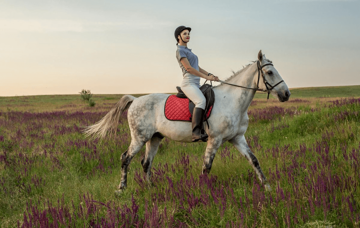 Їзда верхи, ілюстративне фото / Freepik