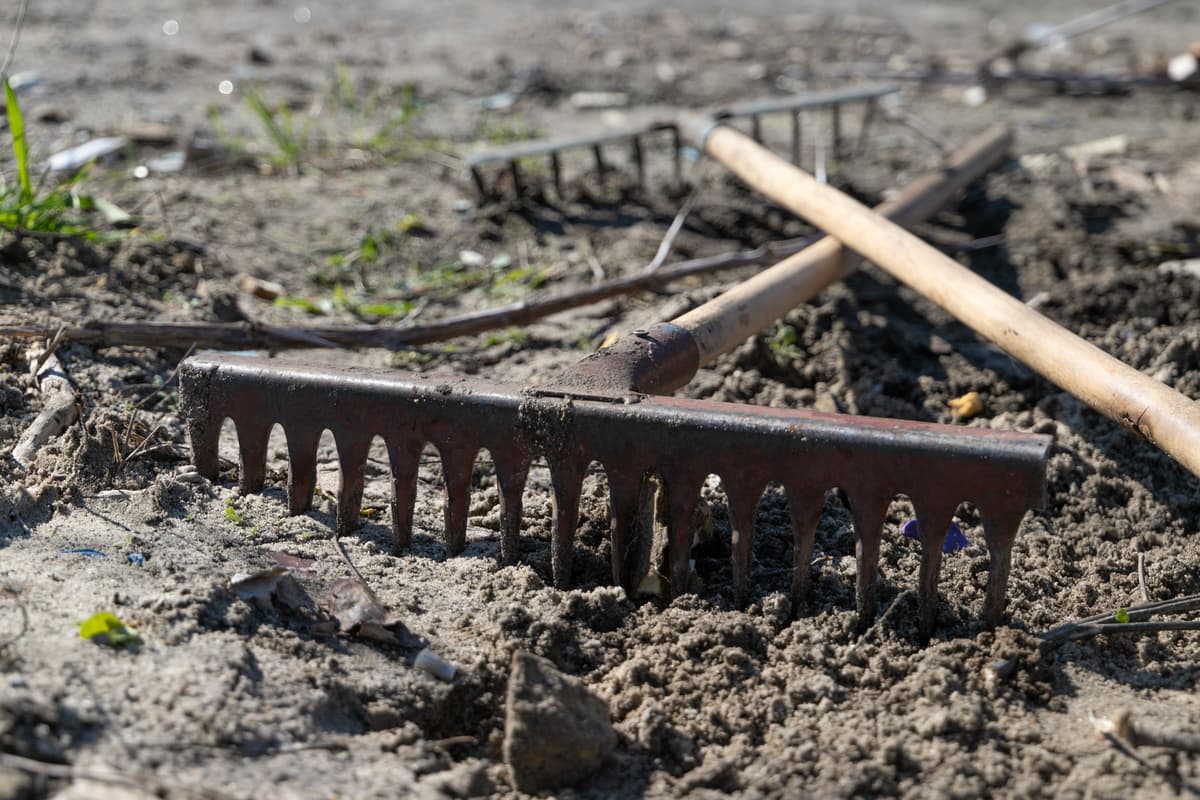 Столицю активно приводять до ладу в межах весняного благоустрою: результати толок