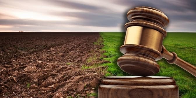 У громадянина росії конфіскували земельну ділянку на Львівщині