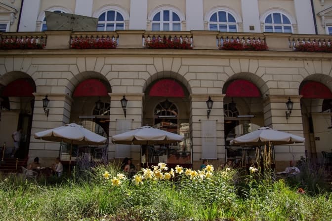 Фото: управління екології Львова