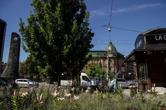 Фото: управління екології Львова