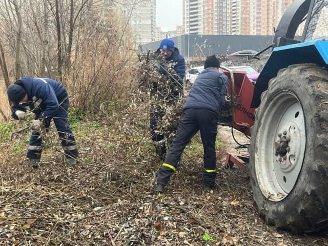 У Дарницькому районі розчистили озеро Жандарка