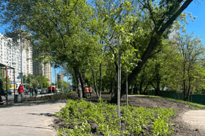 Фото: Київзеленбуд