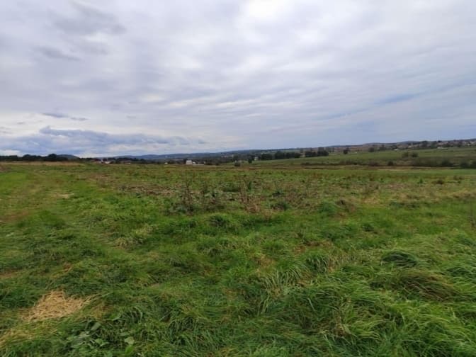 Суд повернув громаді ділянку біля Львова, передану за заниженою ціною