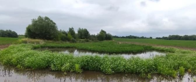 На Львівщині створять новий ландшафтний заказник