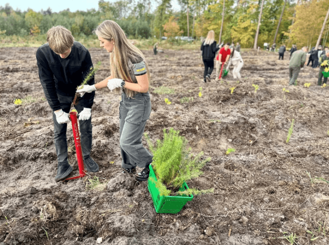 На Львівщині посадили майже шість тисяч дерев