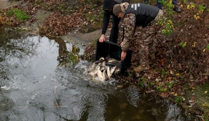 На Київщині до Канівського водосховища випустили понад 6,5 тисячі рибин