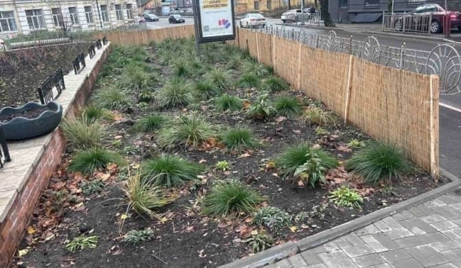 Фото: Київзеленбуд