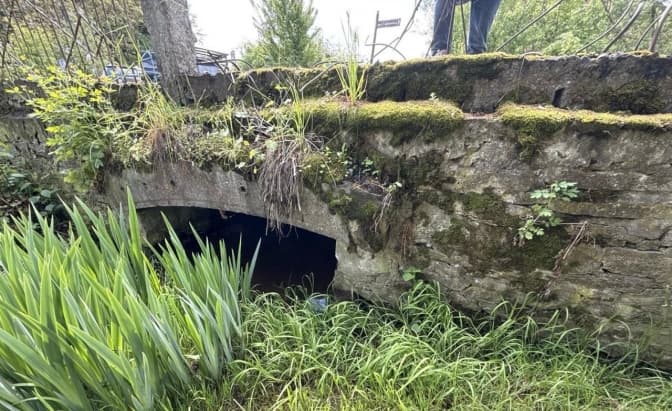 Фото: Юрій Бучко